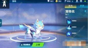 飞车手游最新宠物爆料